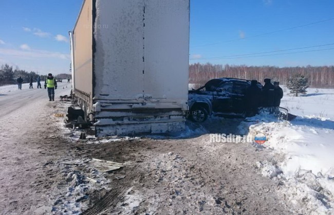 5 человек погибли в ДТП на трассе "Иртыш" в Курганской области