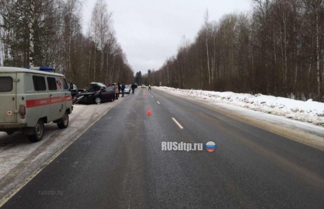 Мужчина и женщина погибли в ДТП во Владимирской области
