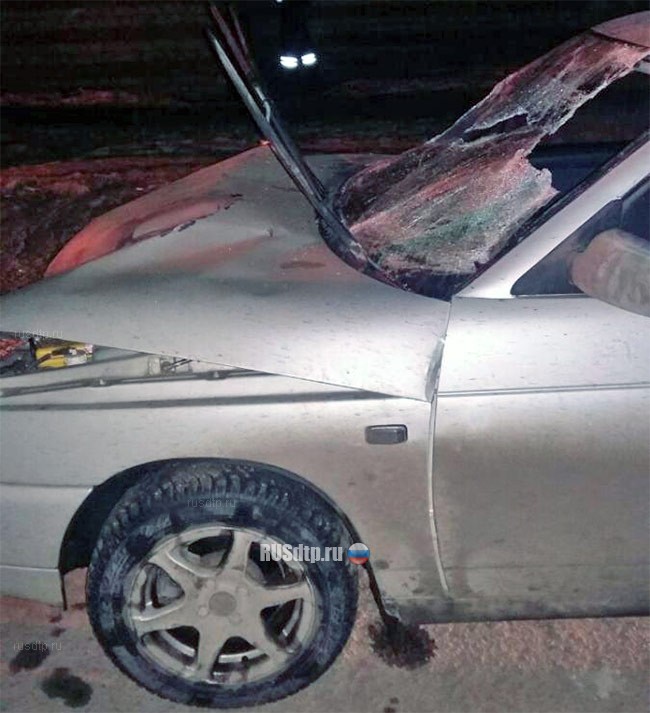 В Челябинске пьяный и лишенный прав водитель насмерть сбил двоих пешеходов