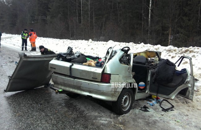 В Кировской области водитель легковушки погиб по вине водителя КамАЗа
