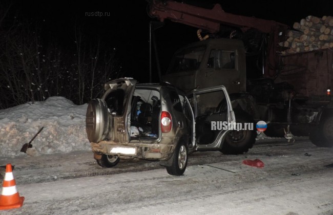 Супружеская пара погибла в ДТП в Вологодской области