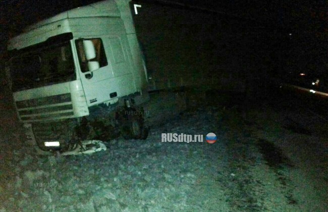 Водитель легковушки погиб на автодороге в Омской области