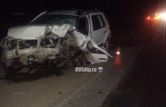 Hyundai Creta и Renault Duster столкнулись в Волгоградской области. Погибли оба водителя