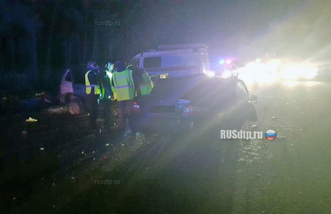 Два человека погибли в лобовом столкновении автомобилей под Дзержинском