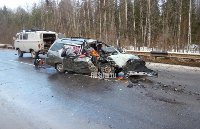 Женщина и мужчина погибли в результате ДТП в Вологодской области