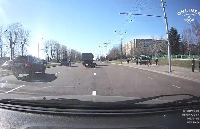 Корова сбежала с места ДТП в Минске. Видео