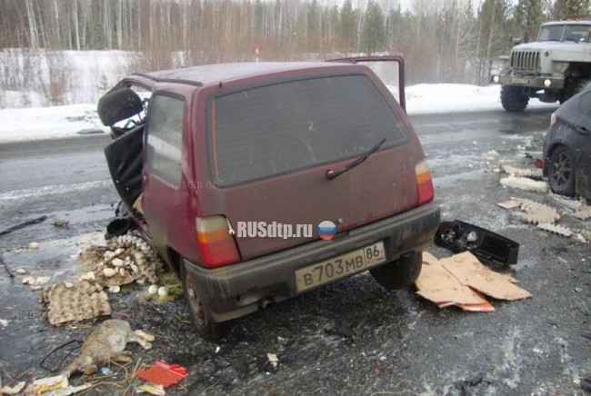 Проснулся в последний момент