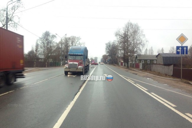 Дальнобойщик совершил смертельный выезд на встречную на трассе М-10