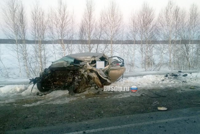Водитель «Соляриса» погиб в ДТП с большегрузом на трассе Тюмень – Омск