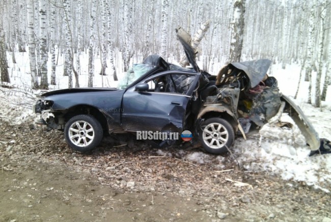 Пьяный водитель врезался в дерево в Красноярском крае. Двое погибли