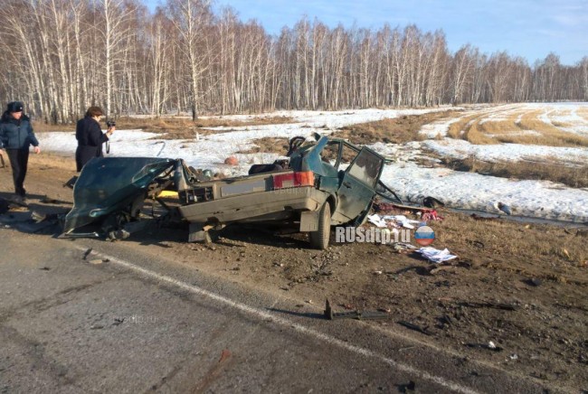 Дорожная авария в Омской области унесла четыре жизни