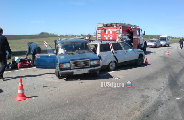 В ДТП на трассе М-6 «Каспий» в Скопинском районе погиб человек