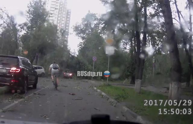 Видеорегистратор запечатлел падение дерева на автомобиль в Москве