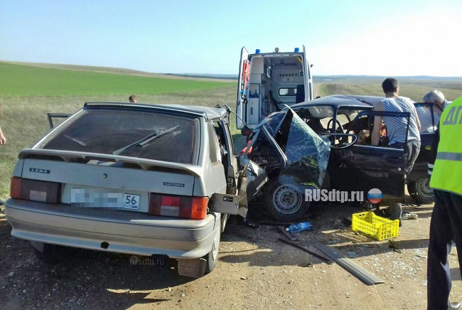 В Оренбургской области на межпоселковой дороге в ДТП погибли четыре человека