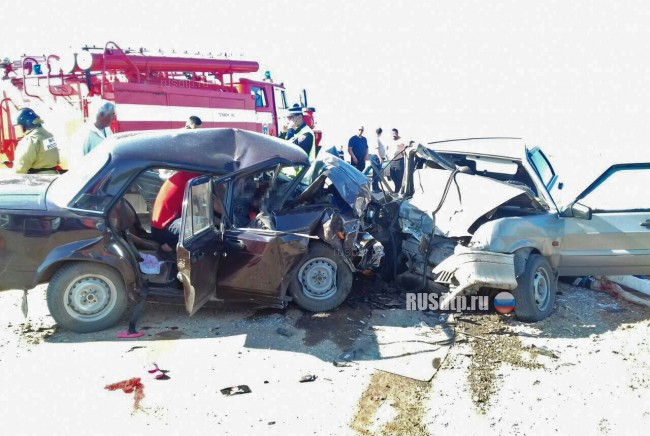 В Оренбургской области на межпоселковой дороге в ДТП погибли четыре человека