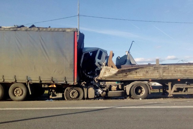 Появились подробности страшного ДТП на трассе М-10 в Ленинградской области
