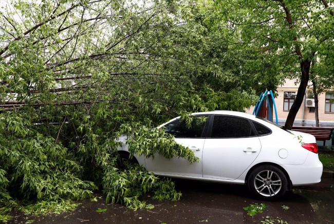 Ураган в Москве унёс более десяти жизней