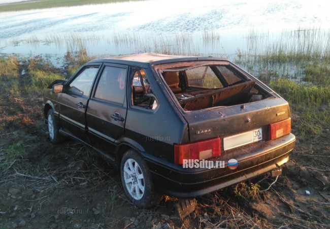 В Астраханской области водитель «Лады» погиб, сбив жеребенка на дороге