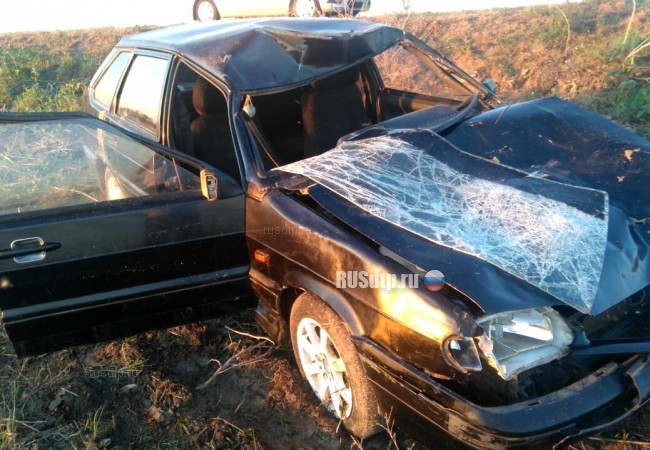 В Астраханской области водитель «Лады» погиб, сбив жеребенка на дороге