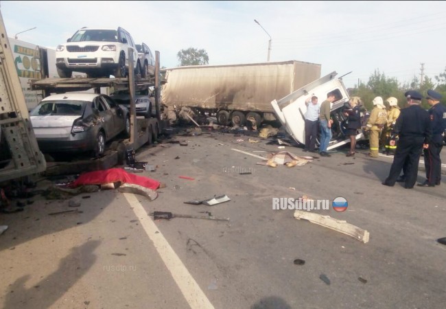 Два человека погибли в жутком ДТП во Владимирской области. Видео