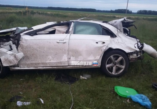 В Тамбовской области водитель «Ауди» погиб, врезавшись в столб