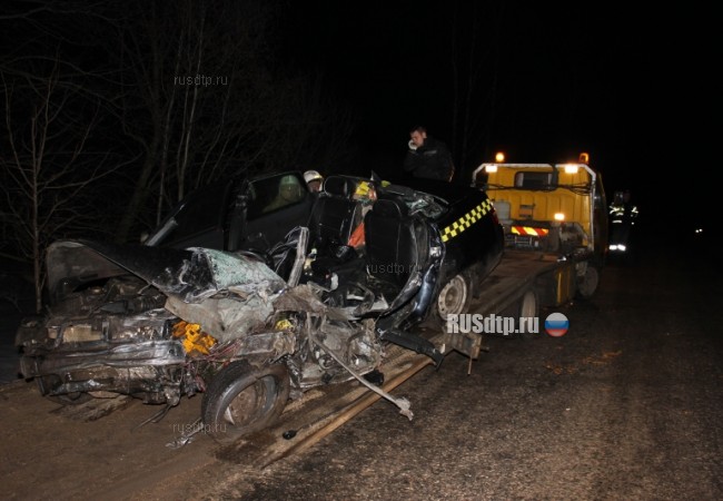 На трассе Шимск &#8212; Невель в ДТП погибли 2 человека