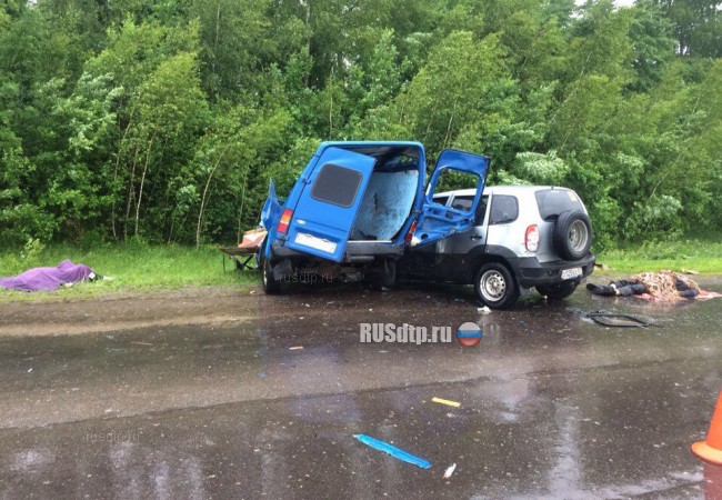 Два человека погибли в ДТП на трассе Орел-Ефремов