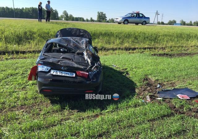 Залетевший в салон автомобиля жук спровоцировал ДТП на трассе