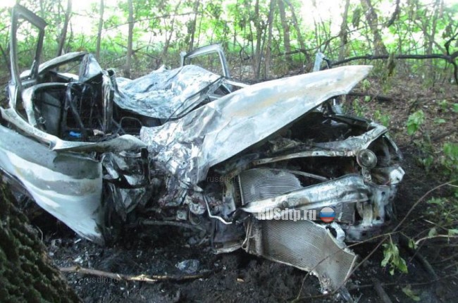 В Рязанской области водитель и пассажир сгорели в вылетевшей с дороги машине