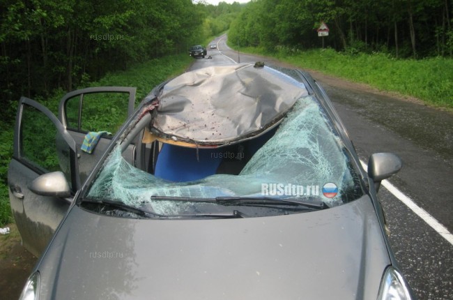 В Архангельской области автомобиль сбил лося
