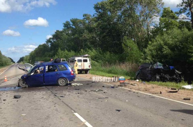 На трассе Шимск &#8212; Невель в ДТП погибли водитель и пассажирка «Калины»