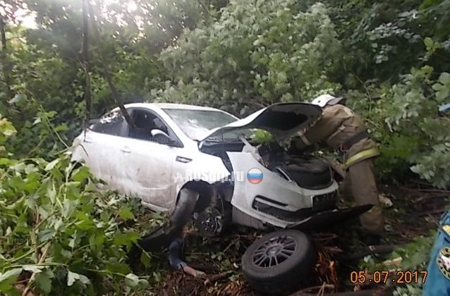 Женщина погибла при столкновении автомобиля с деревом в Тульской области