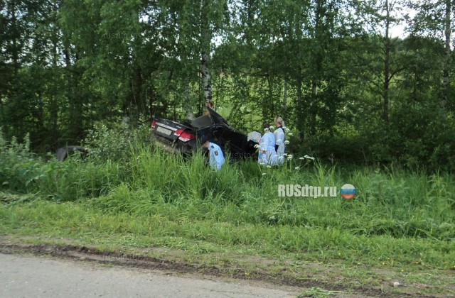 Водитель и пассажир «Шевроле» погибли, врезавшись в дерево на автодороге Оричи &#8212; Мирный