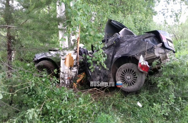 Водитель и пассажир «Шевроле» погибли, врезавшись в дерево на автодороге Оричи &#8212; Мирный