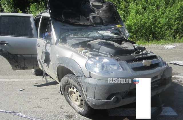 Житель Новосибирской области погиб в ДТП на трассе Серов &#8212; Ивдель