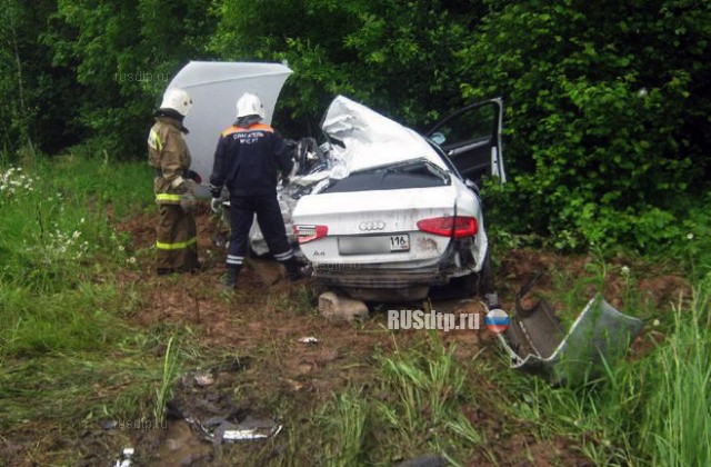 В Татарстане «Audi A4» столкнулся с фурой. Двое погибли