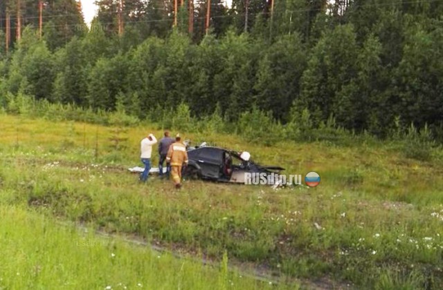 Водитель и пассажирка автомобиля погибли в результате наезда на лося на трассе Москва-Архангельск