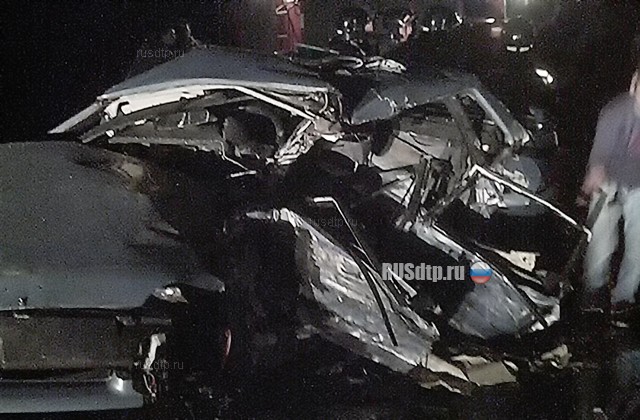 Пять человек погибли по вине водителя без прав на трассе Нижний Новгород &#8212; Касимов