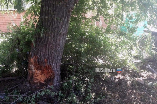 На Ставрополье «Ниссан» врезался в дерево. Погибли 5 человек