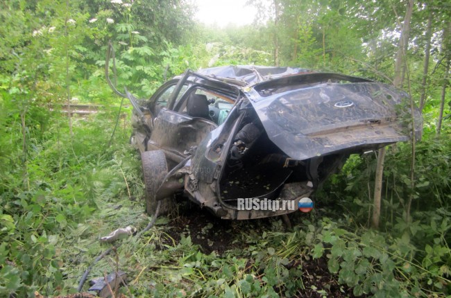 Водитель «Форда» погиб, врезавшись в дерево в Тверской области