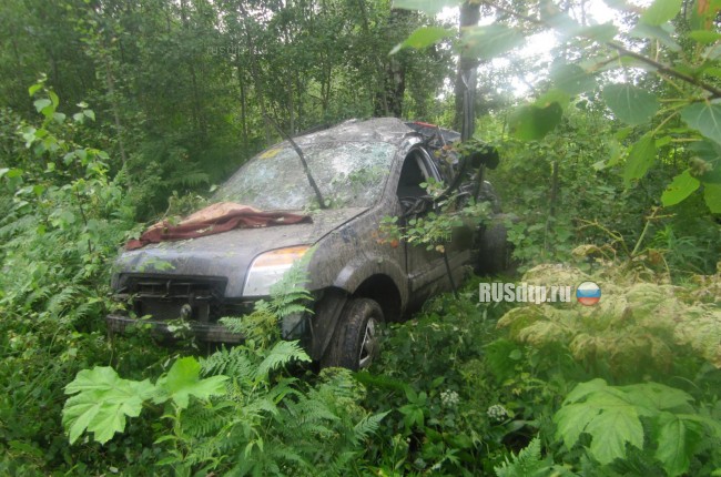 Водитель «Форда» погиб, врезавшись в дерево в Тверской области