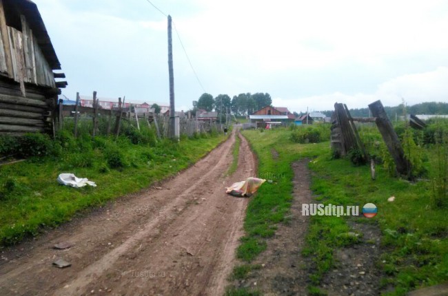 В Башкирии тракторист задавил односельчанина