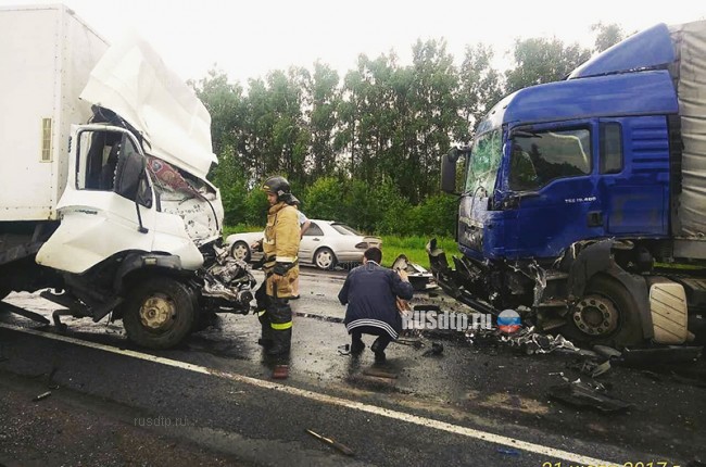 Водитель грузовика погиб в ДТП на трассе М-7 в Чувашии