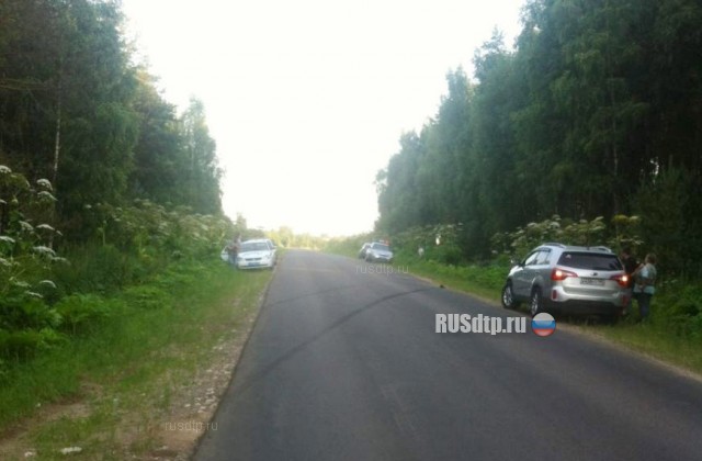 В Киржачском районе в перевернувшейся «Ладе» погибли три человека