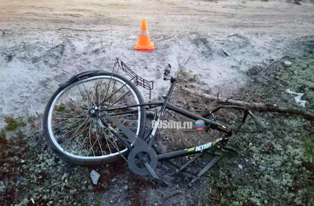 В ЯНАО в ДТП с участием квадроцикла и велосипеда погибли два человека