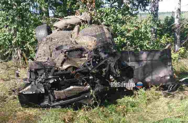В Ульяновской области в перевернувшемся BMW погибли трое жителей Мордовии