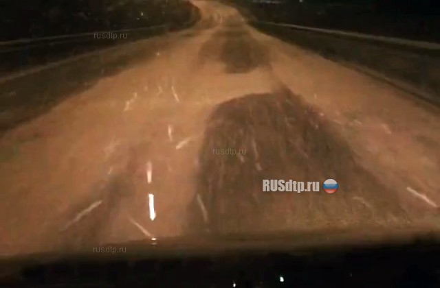 В Ленинградской области выпавший «снег» из мотыльков привел к ДТП
