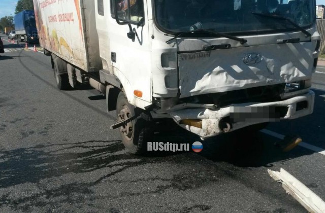 В Тверской области по вине водителя грузовика в ДТП погибла 3-летняя девочка