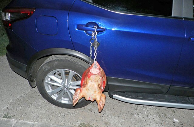 В Чебоксарах автовладелице «подложили свинью»