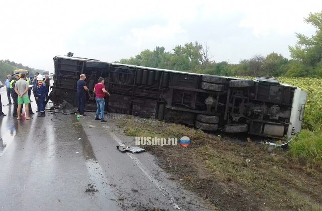 В Ростовской области в ДТП с участием автобуса пострадали 27 человек